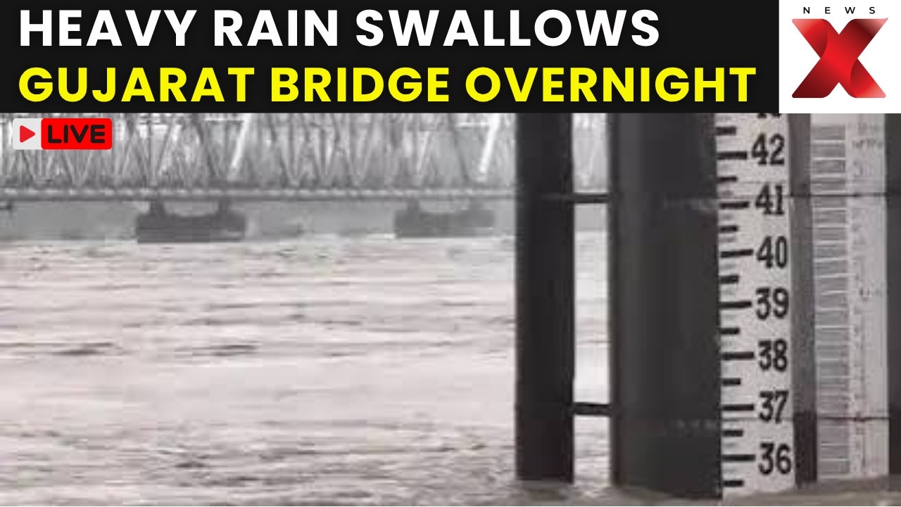 Gujarat Rain LIVE: Bridge Submerged as Rising Rivers Trigger Flood Alert