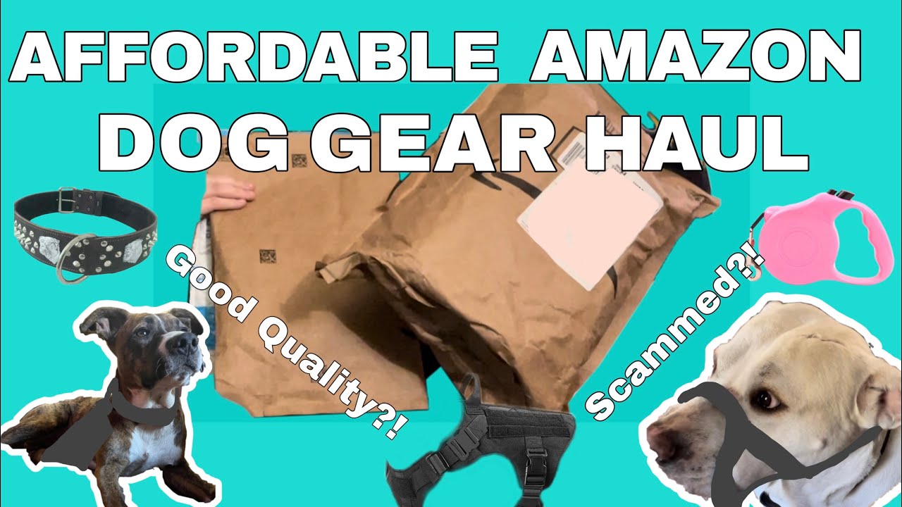 Affordable Amazon Dog Gear Haul!!! // First Video!