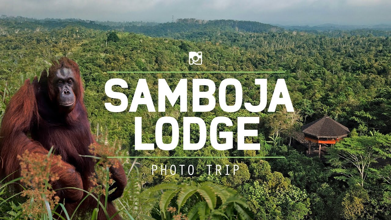 Samboja Lodge, Life In Harmony With Nature!