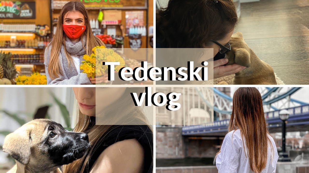 VLOG; Prenova stanovanja, IKEA HAUL, dnevi z Lucy l Kaja Karba