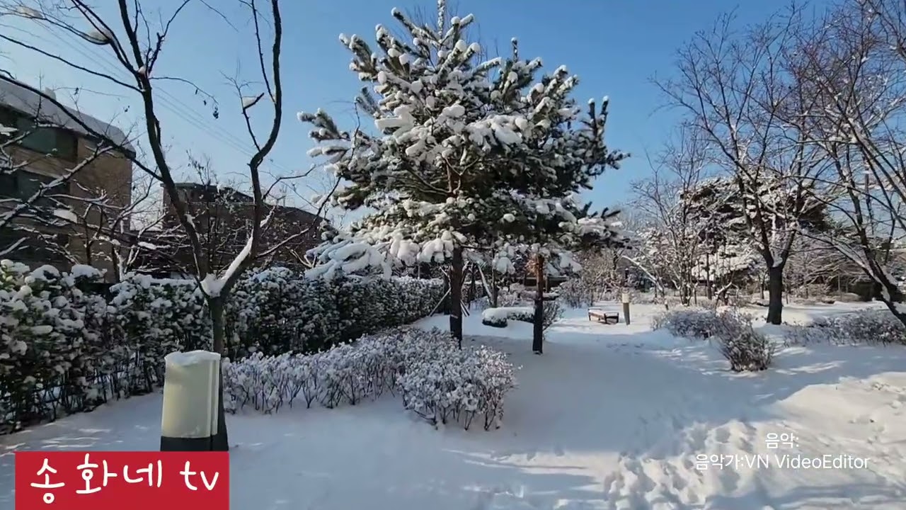 아파트 단지내 설경  #입춘대길 선물이어라 #송화네 tv