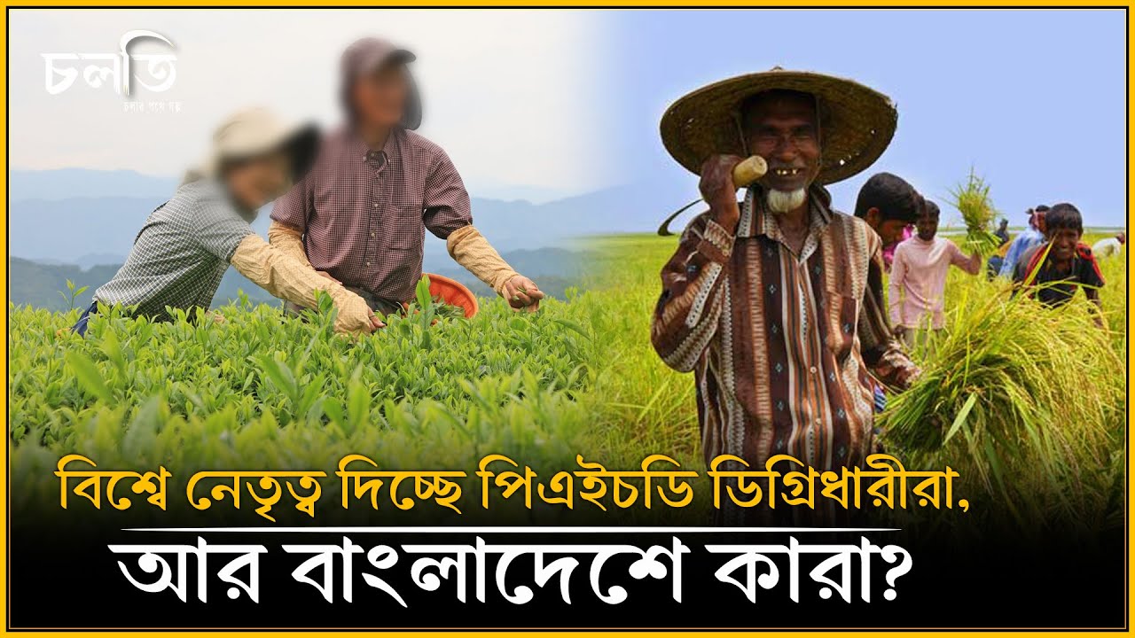 অর্ধেক সার দিয়েও পর্যাপ্ত ফসল আসে। পদ্ধতিটা হলো... | চলতি কৃষি