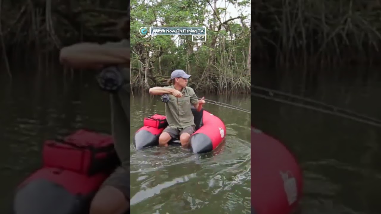GIANT TARPON from a float tube in a small river! - &lsquo;Tap&acirc;m &ndash; A Fly Fishing Journey&rsquo; on FishingTV