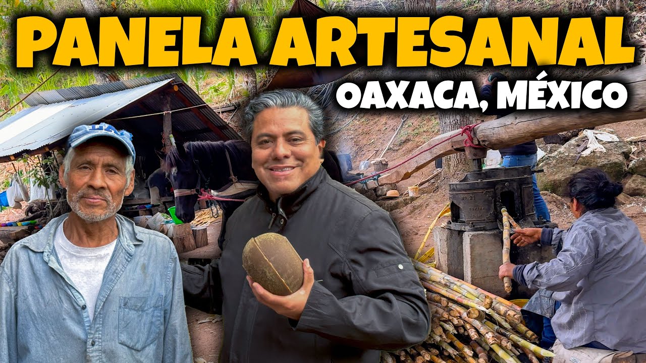 SECRETO DULCE de OAXACA: Elaboración de PANELA Artesanal