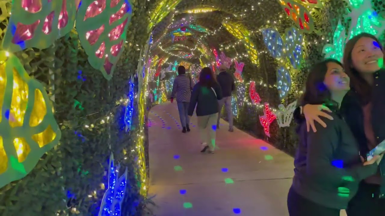 “Lights in Bloom” Marie Selby Botanical Gardens