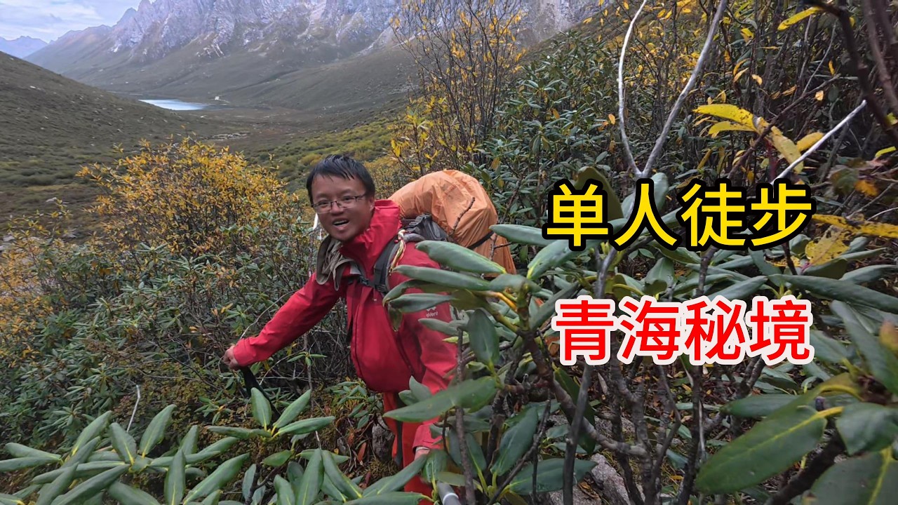 独自翻越青海群山恐遇狼群，捡了只藏獒同行……
