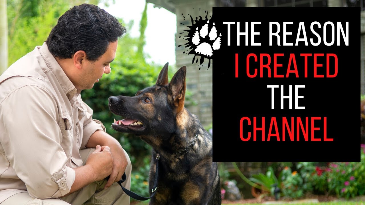 The reason I created the channel service dog club | Channel introduction