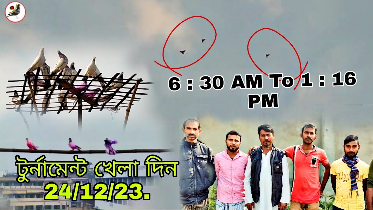 করিম দার বাড়ি কবুতর টুর্নামেন্ট খেলা দিন. pigeon on tournament 24/12/23 day |