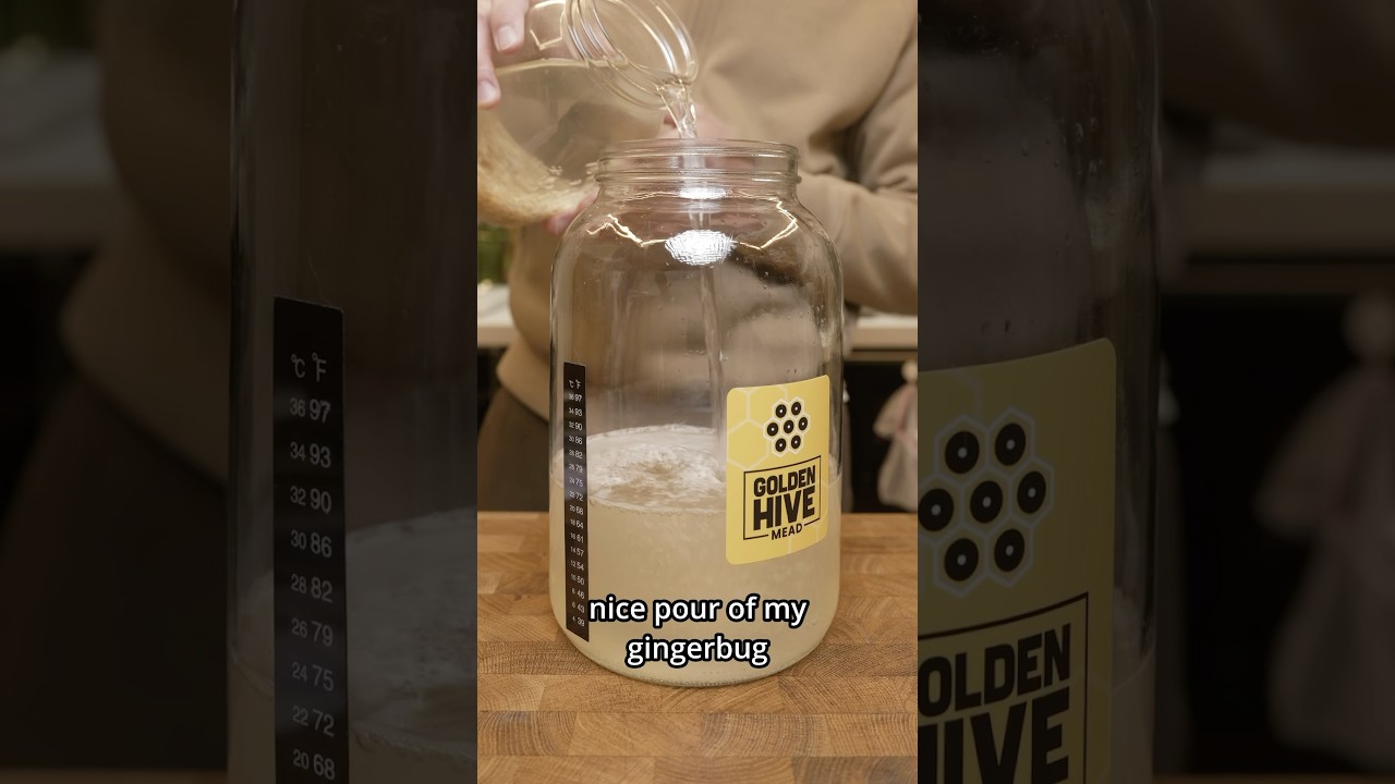 Can I make wine with my ginger bug?