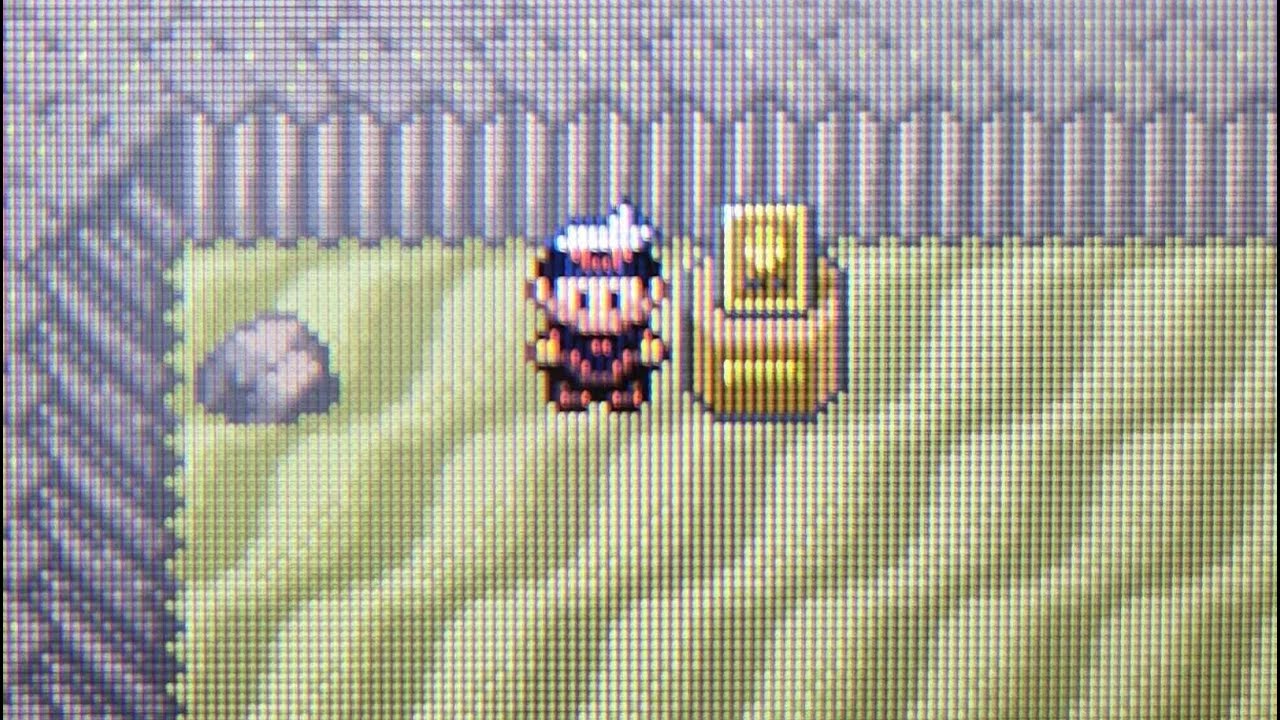 Winning the Gold Shield in the Ruby Battle Tower