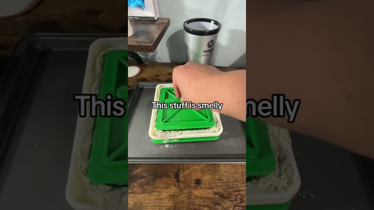 How To Use A 100 Capsule Filler #mushroomharvest #tutorial #mushroom #spore #capsule
