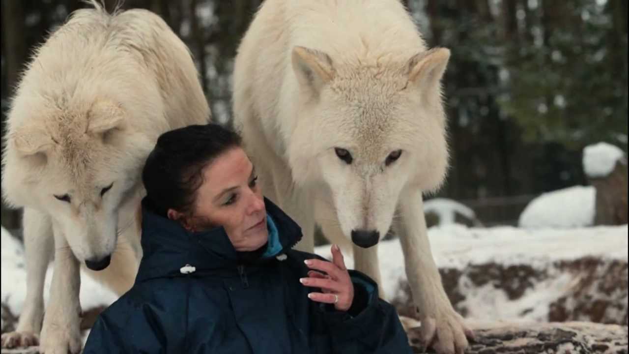 Marion u. die Polarwölfe - Naaja, Noran u. Nanuk