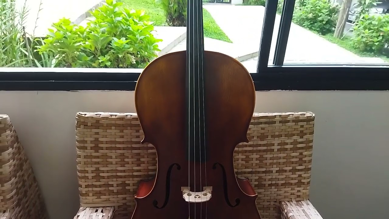 violoncelo Rolim internacional ou Eagle ce310 ?