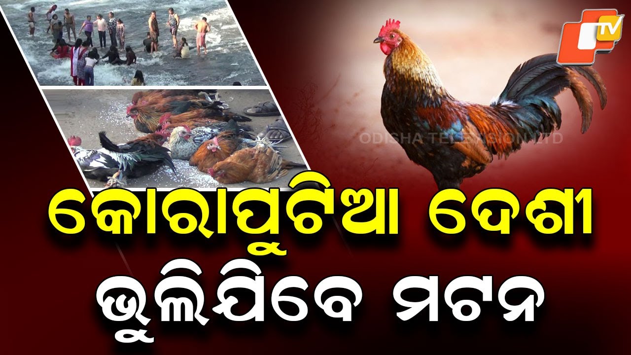 Special Story: Koraput Picnic Season Fuels Craze for Costly Desi Chicken Among Tourists