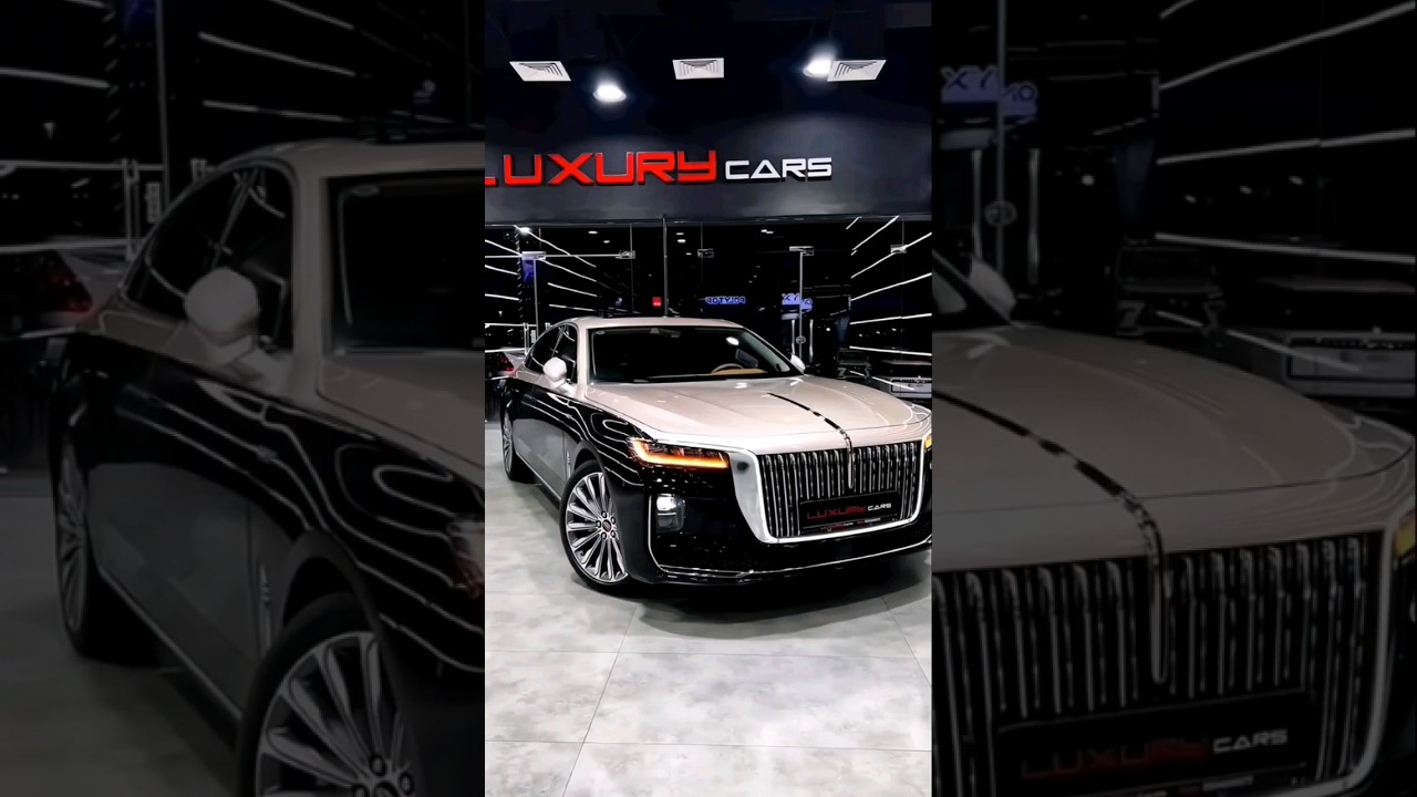 Immersive experience of 22 models of Hongqi h9 