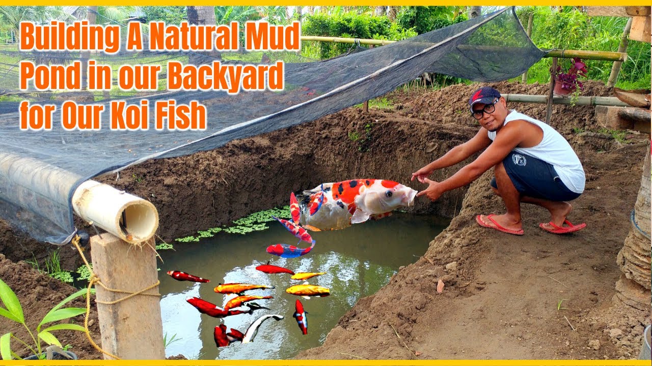 Building and Making A Natural Mud Pond for Our Koi Fish in Our Backyard | Koi Farming - Part 1