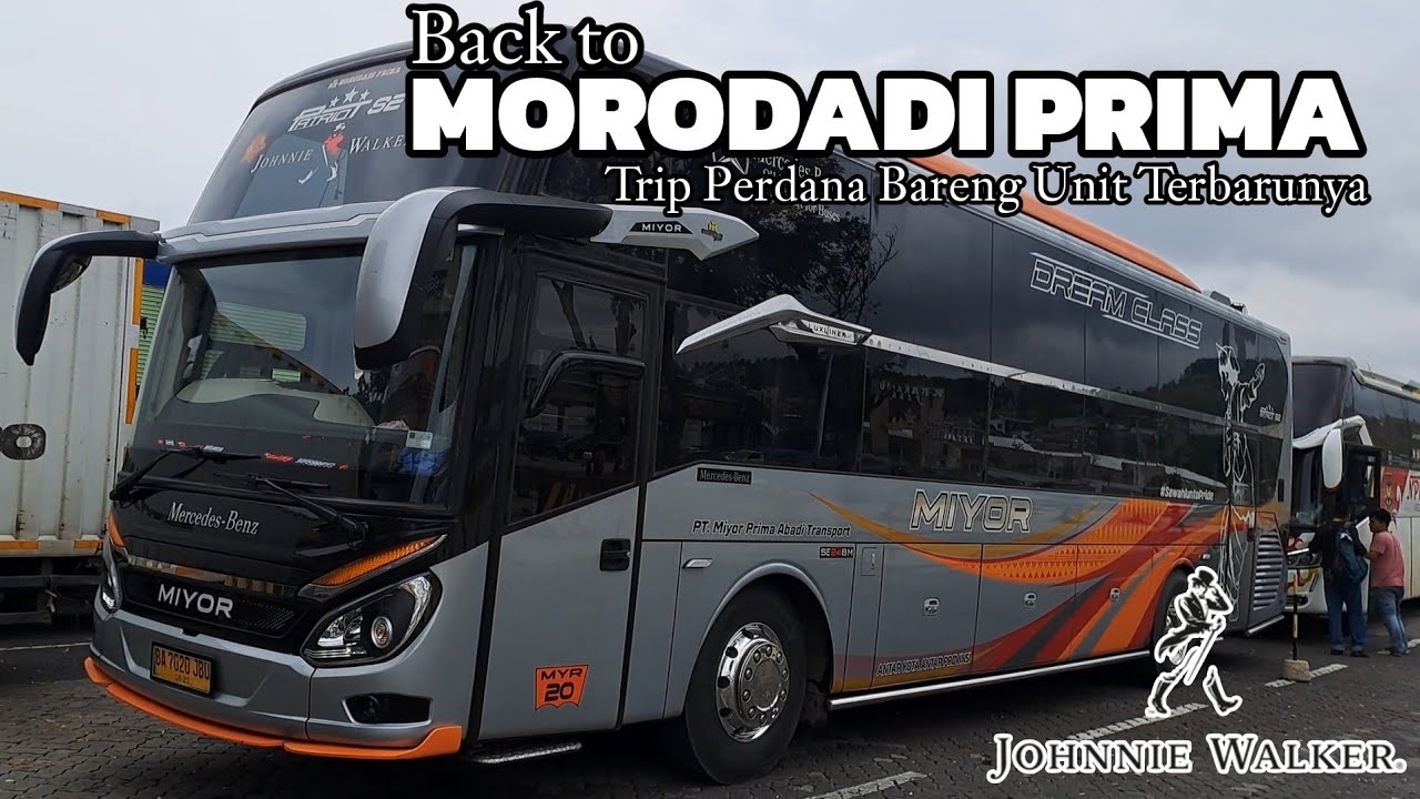 KEMBALI PAKAI MORODADI‼️Trip perdana MIYOR Johnnie Walker Luxliner,, masih ada Jetliner Sinar Jaya⁉️