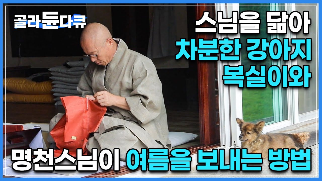 수행비서처럼 스님을 든든하게 지키는 개 복실이와 참스님의 감동적인 여름날 I 평범한 일상이 수행이 되는 방법 I #골라듄다큐
