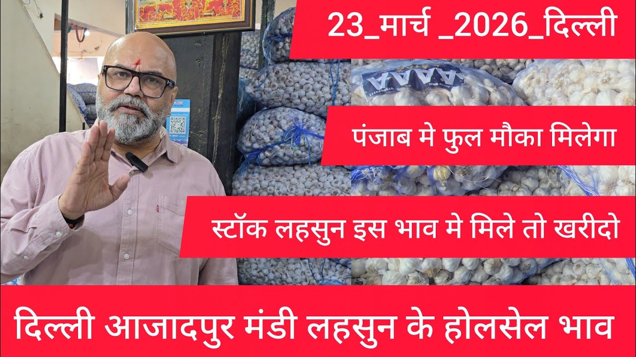 23 March 2026 दिल्ली 🧄 लहसुन के भाव Azadpur delhi mandi today garlic market price #garlicmarket