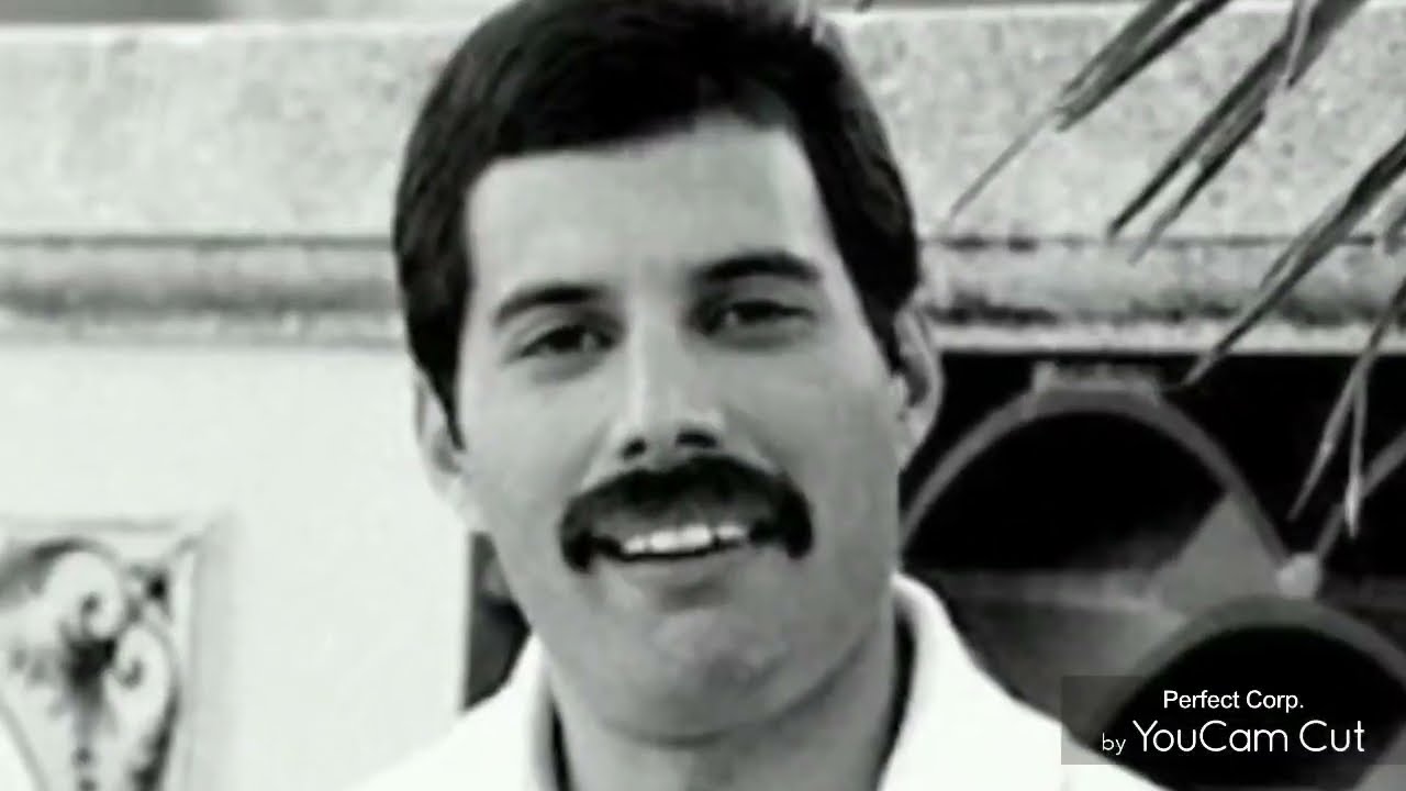 Frisky Freddie Friday is here!