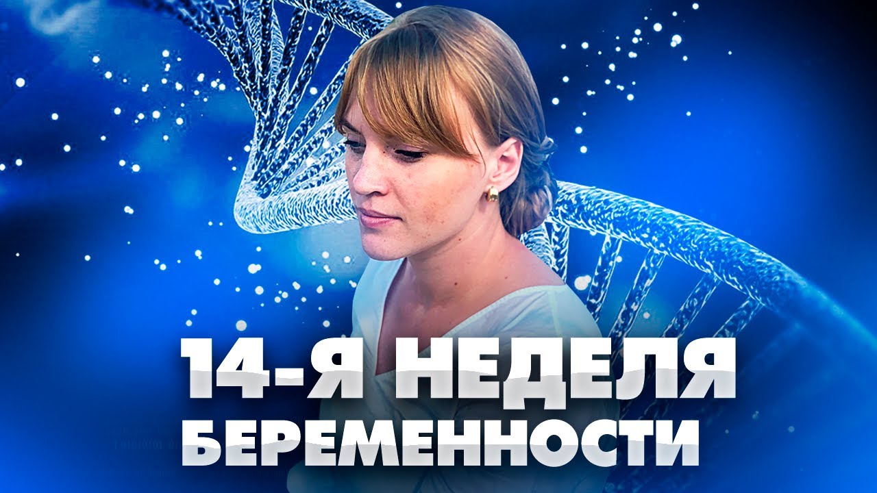 14 недель беременности. Боли. Развитие плода. Совету акушер-гинеколога.