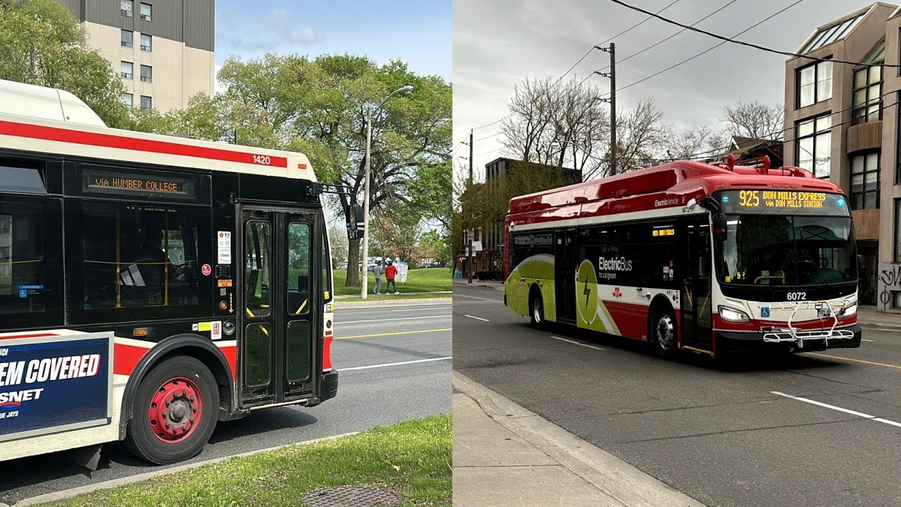 TTC Bus 201