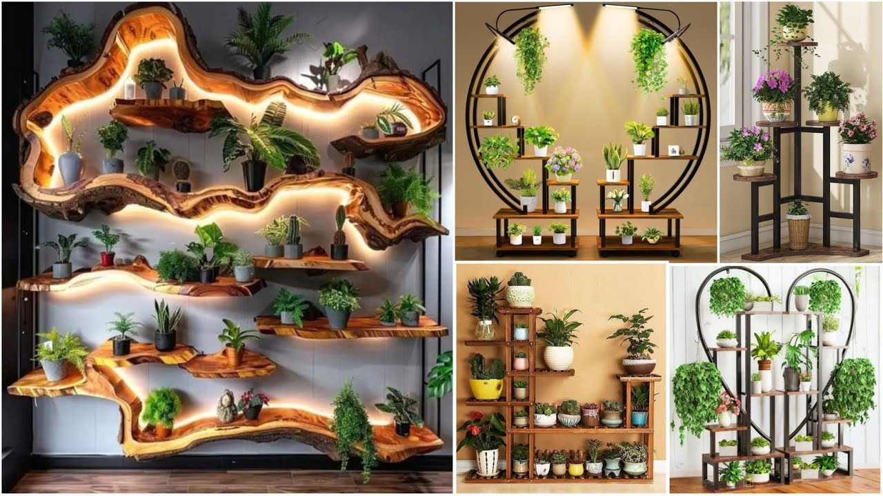 Creative Indoor Plant Stand Ideas to Elevate Your Space | Indoor Plants Stand Ideas