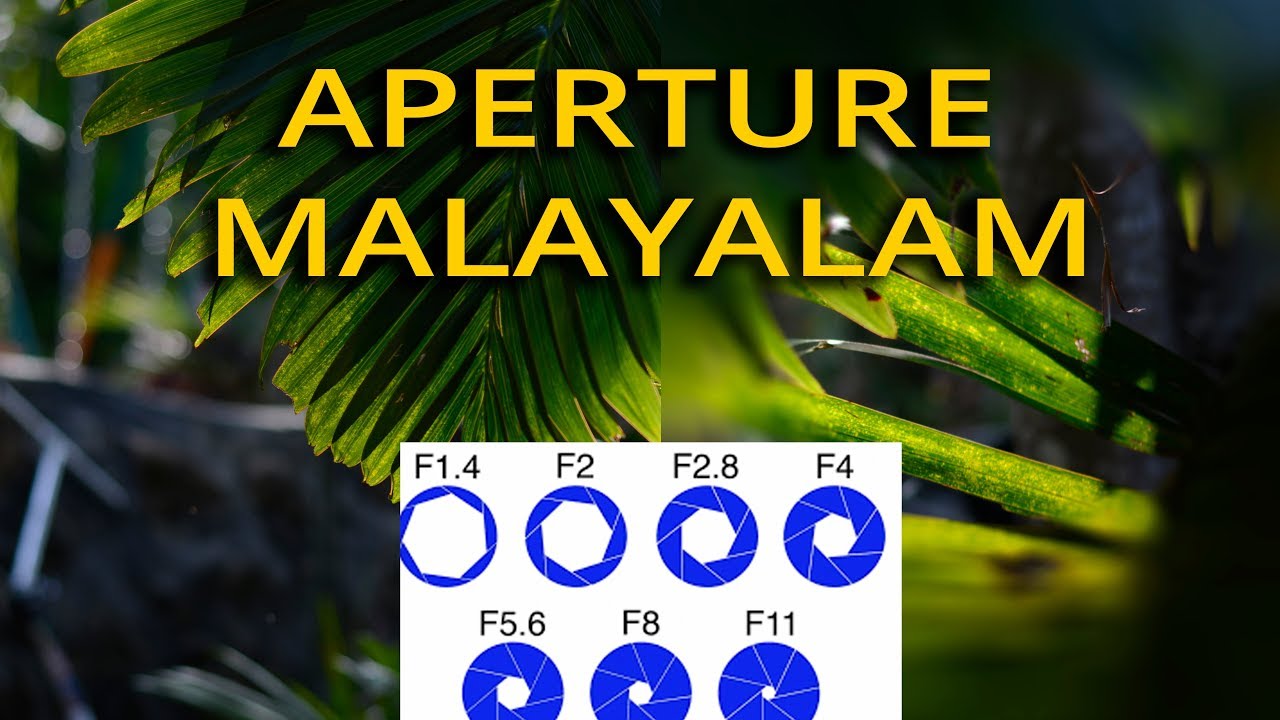 What Is Aperture ? How that affect Exposure and Depth of field. Photography Malayalam മലയാളം  വീഡിയോ