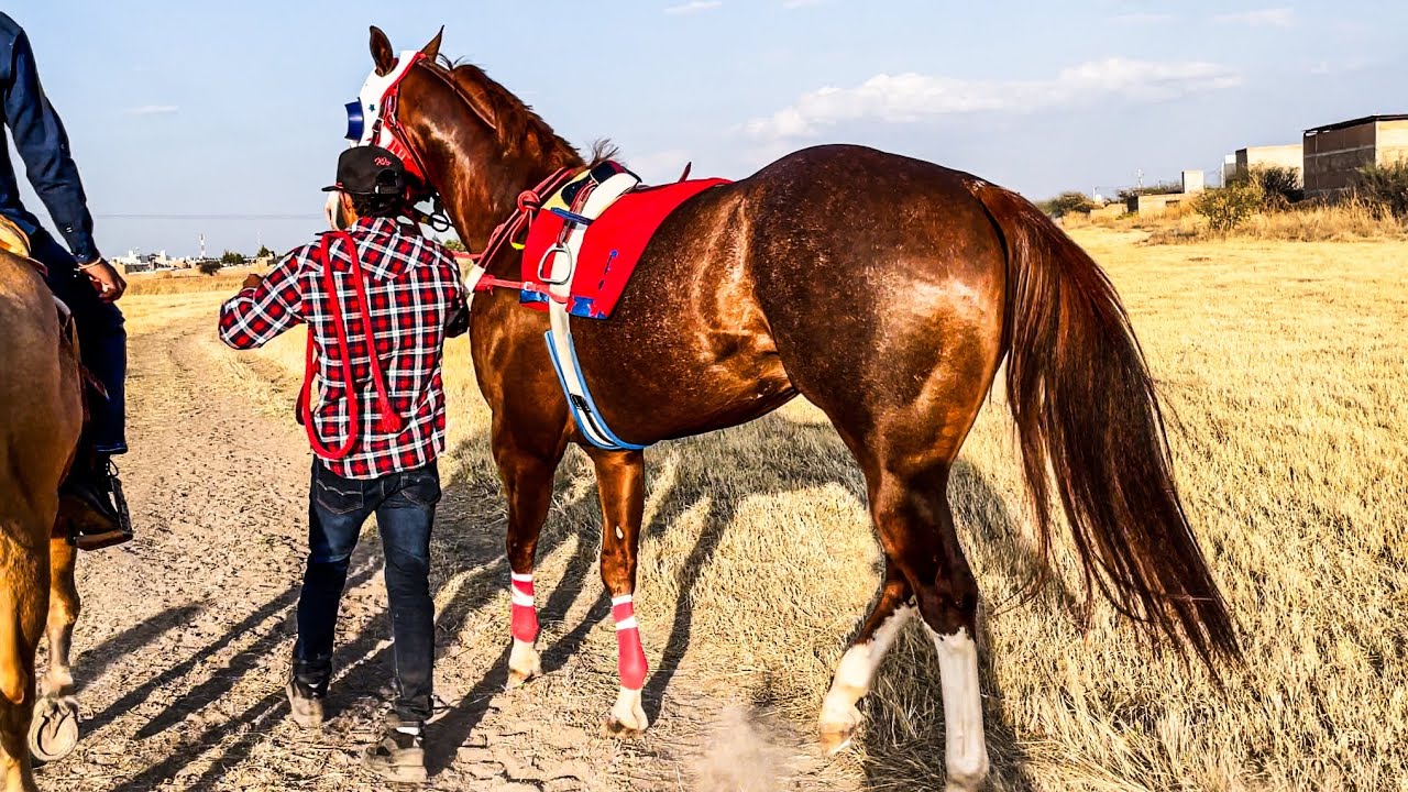 El Payasito Vs La M2 | Tapias Race Track Durango Mex.