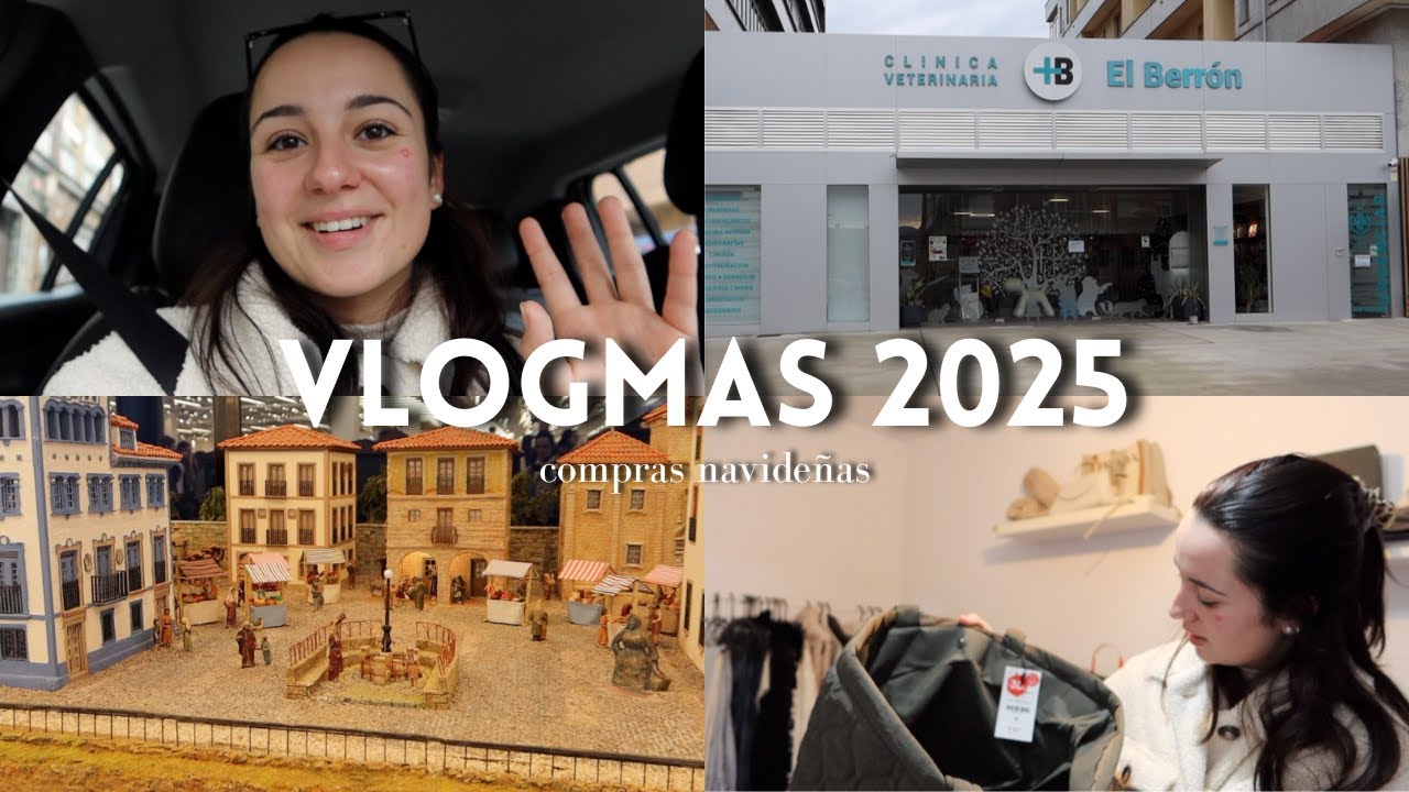 Acompáñame en mi día | Hospital veterinario, haul H&M y Lefties y tarde en Oviedo
