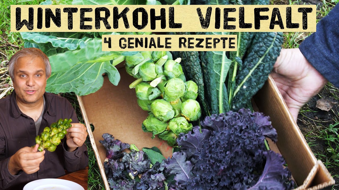 Wie man aus Palmkohl, Grünkohl und Rosenkohl geniale Dinge kocht. Rezepte für Winterkohl