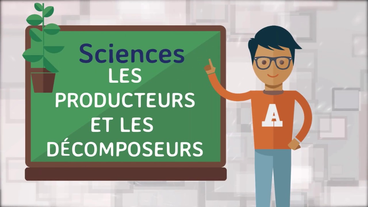 Sciences   Les producteurs et les d&eacute;composeurs
