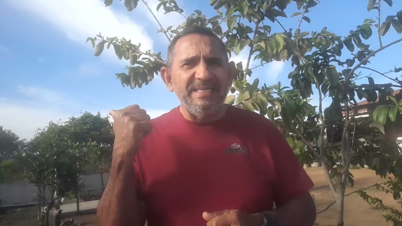 14/02/26 ONDE VOCÊ ESTAR?