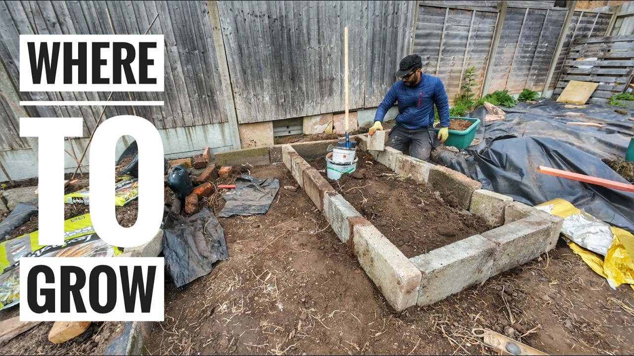 How to Make Space To Grow Food Small UK City Garden