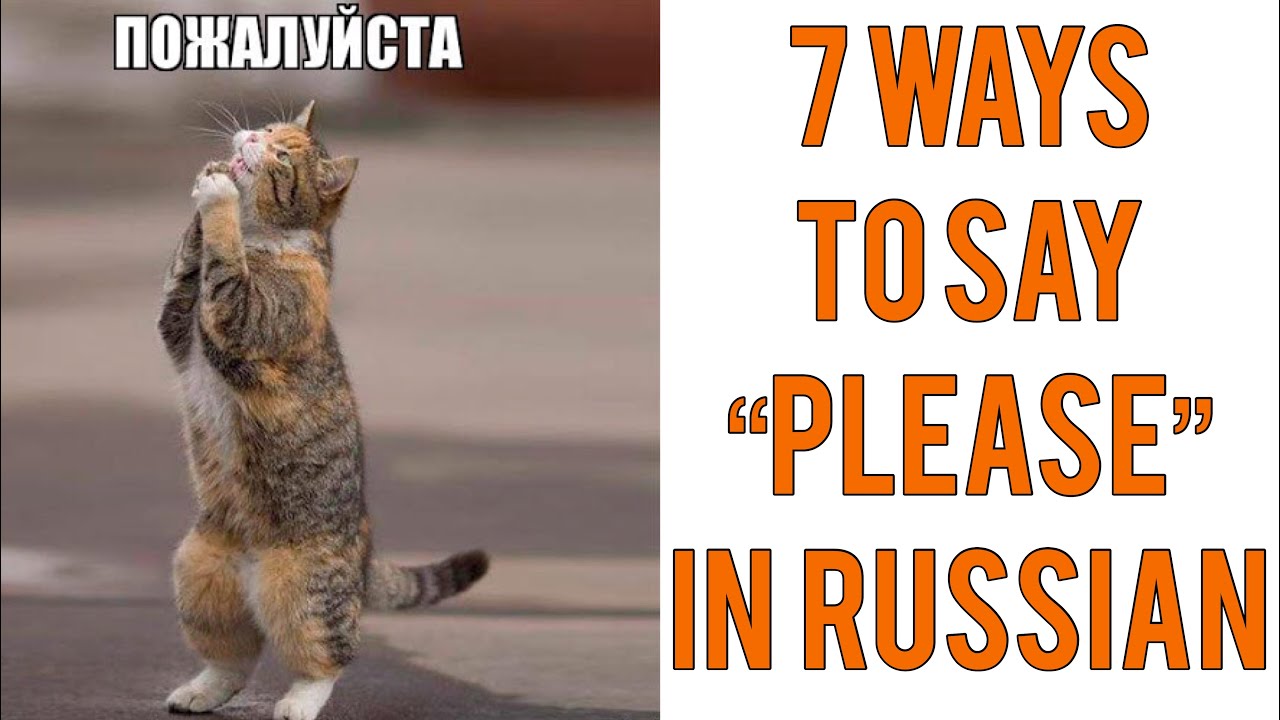 HOW TO SAY PLEASE IN RUSSIAN?