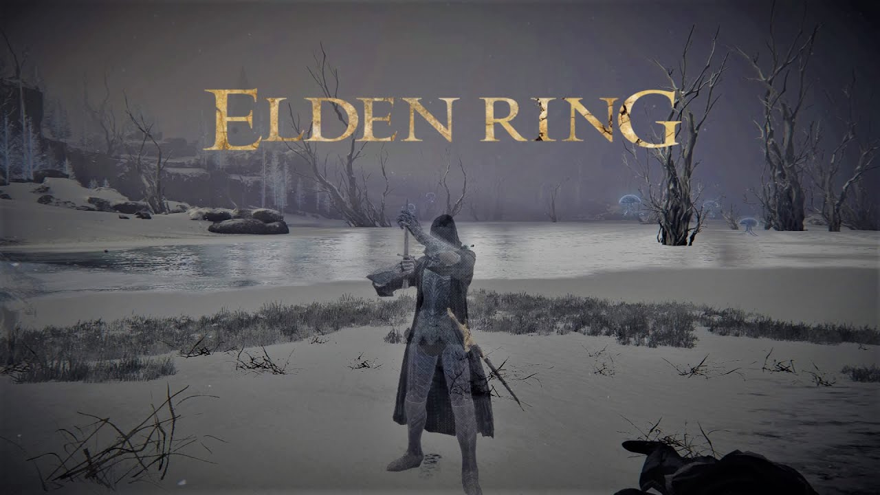 Invisible Assassin Build Unseen Form & Assassin Gambit | Duels | Elden Ring PvP