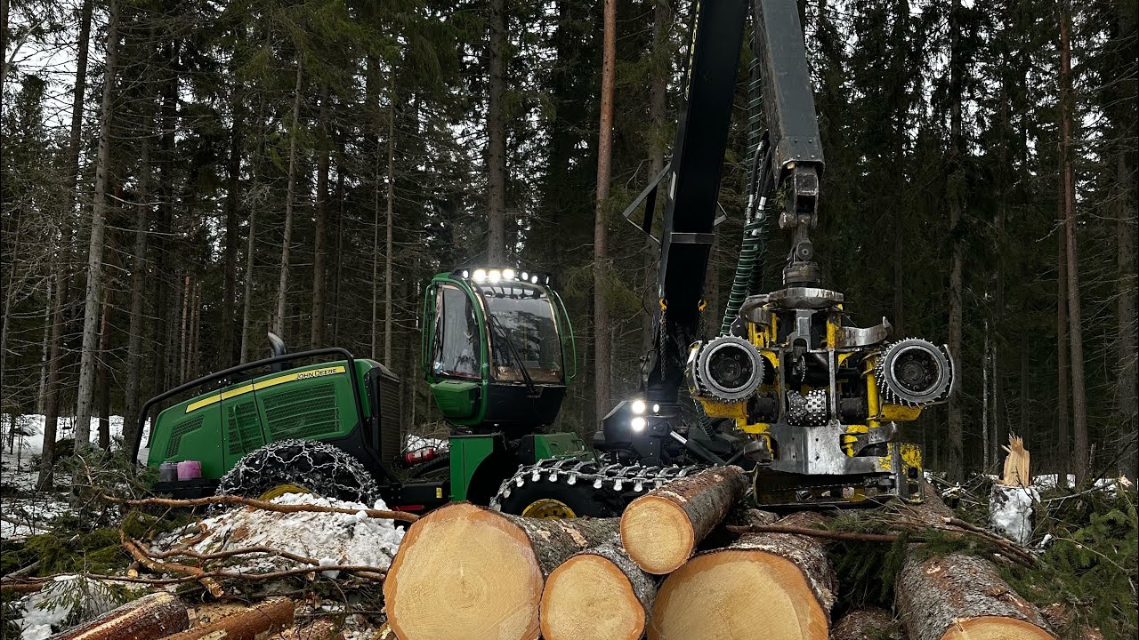 Tulevien tukkipuiden varomista ja uusi kuvakulma