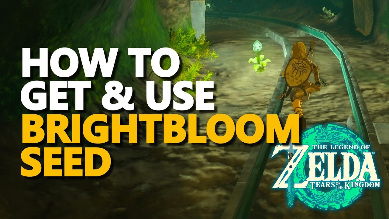 How to get & use Brightbloom Seed Zelda Tears of the Kingdom