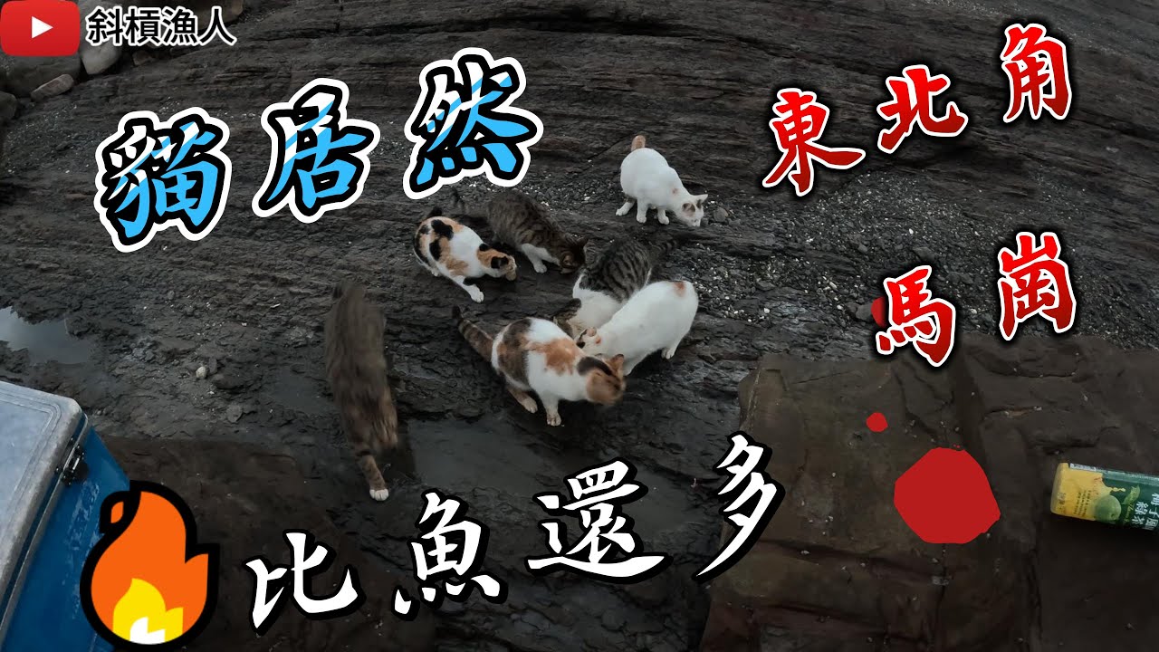 東北角馬崗【貓咪大咬】