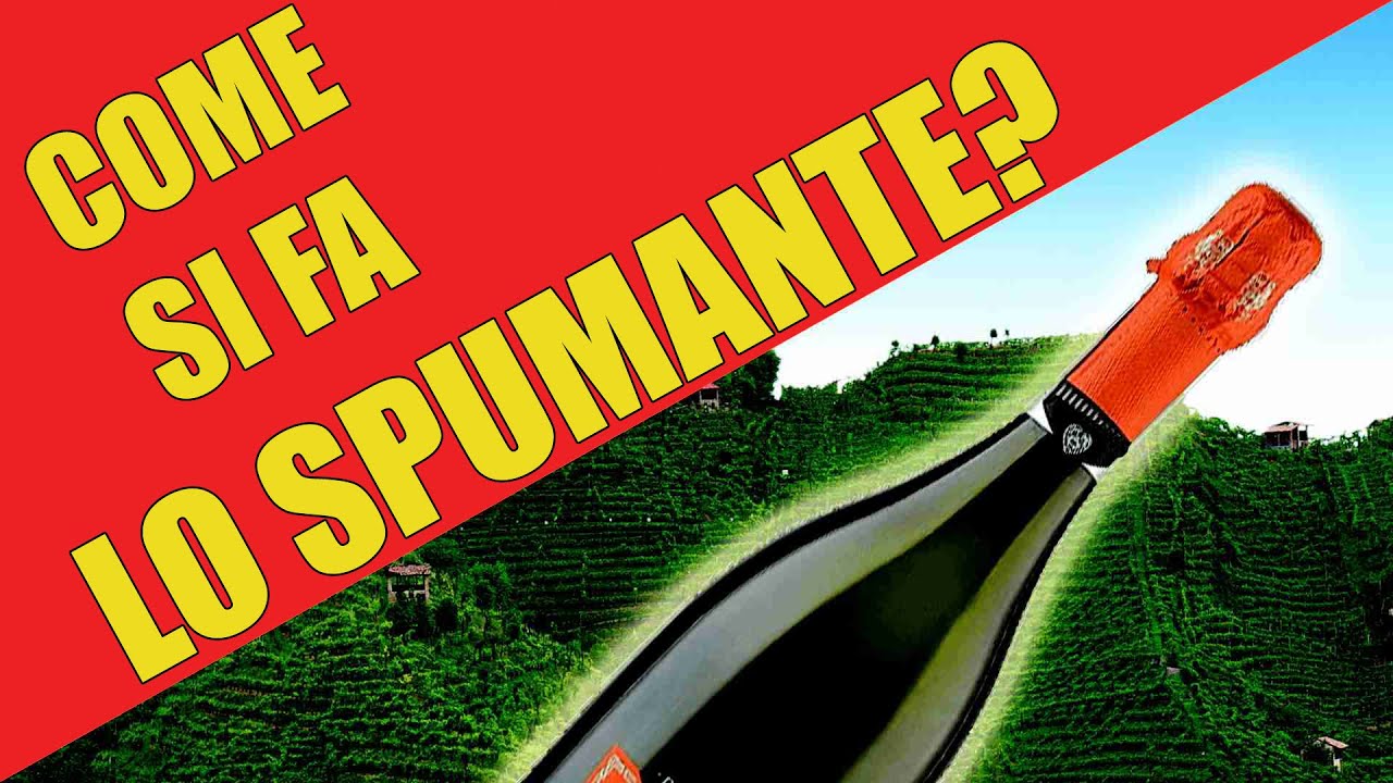 Come si produce lo spumante? E il vino frizzante?