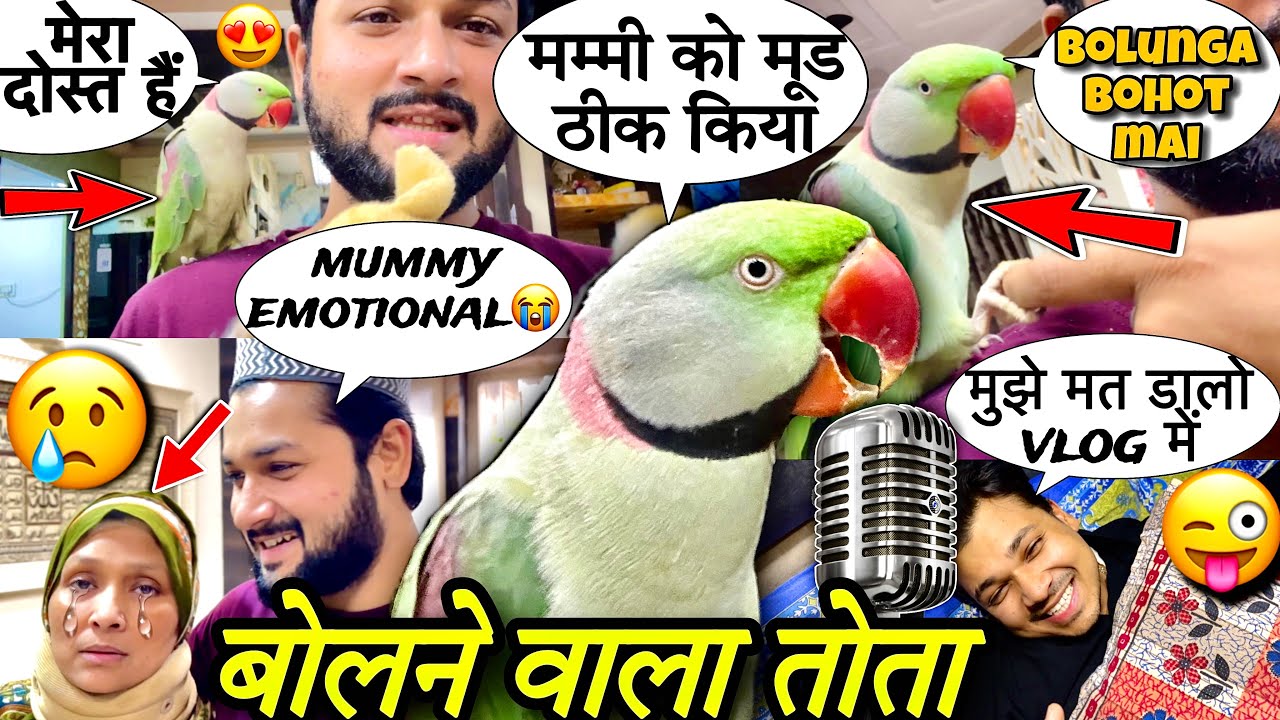 बोलने वाला तोता की मम्मी हुई उदास😢भाई ने किया ड्रामा 😱#bolnewalaparrot #family #vlog #talkingparrot