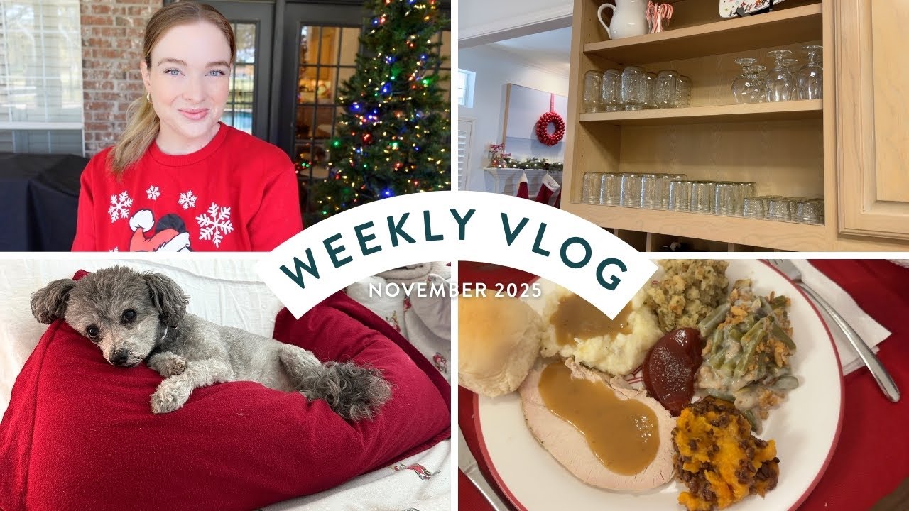 Organizing the Whole House Before Christmas! 🎄| Weekly Vlog November 2025
