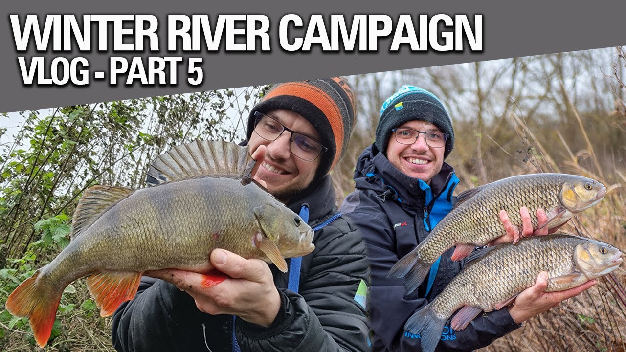 Specimen Perch & Chub! | Winter River Fishing Campaign | Vlog - Part FIVE!