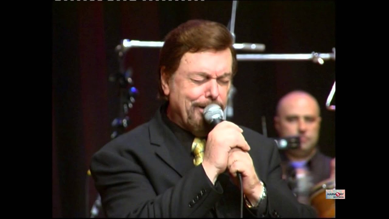 Adiss Harmandian Live Concert in Beirut