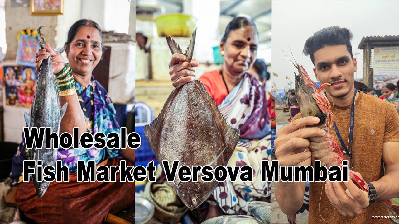 मुंबई वर्सोवा फिश मार्केट | Wholesale Fish Market Versova Mumbai | Prajwal Mondkar Vlogs