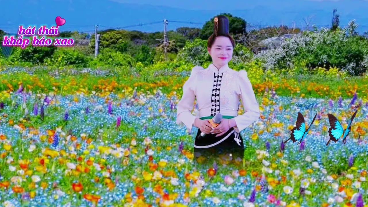 Hát thái khắp tay báo xao tổng hợp các bài hát hay nhất pi nong au căn tọn phăng 