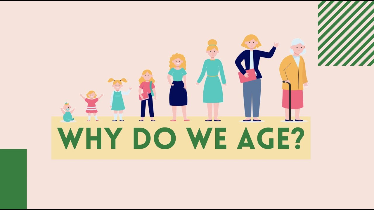 Evolution of Aging | Williams, 1957