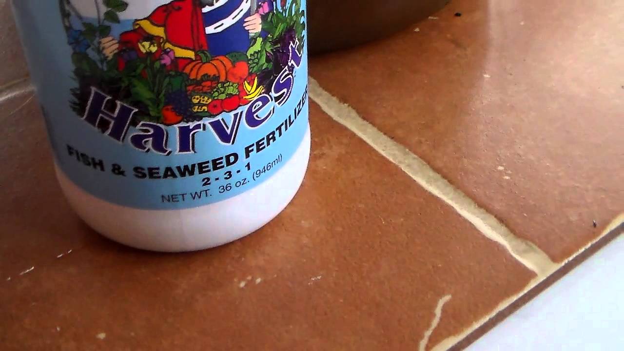 Camcorder File Take 8 - The Secret Formula