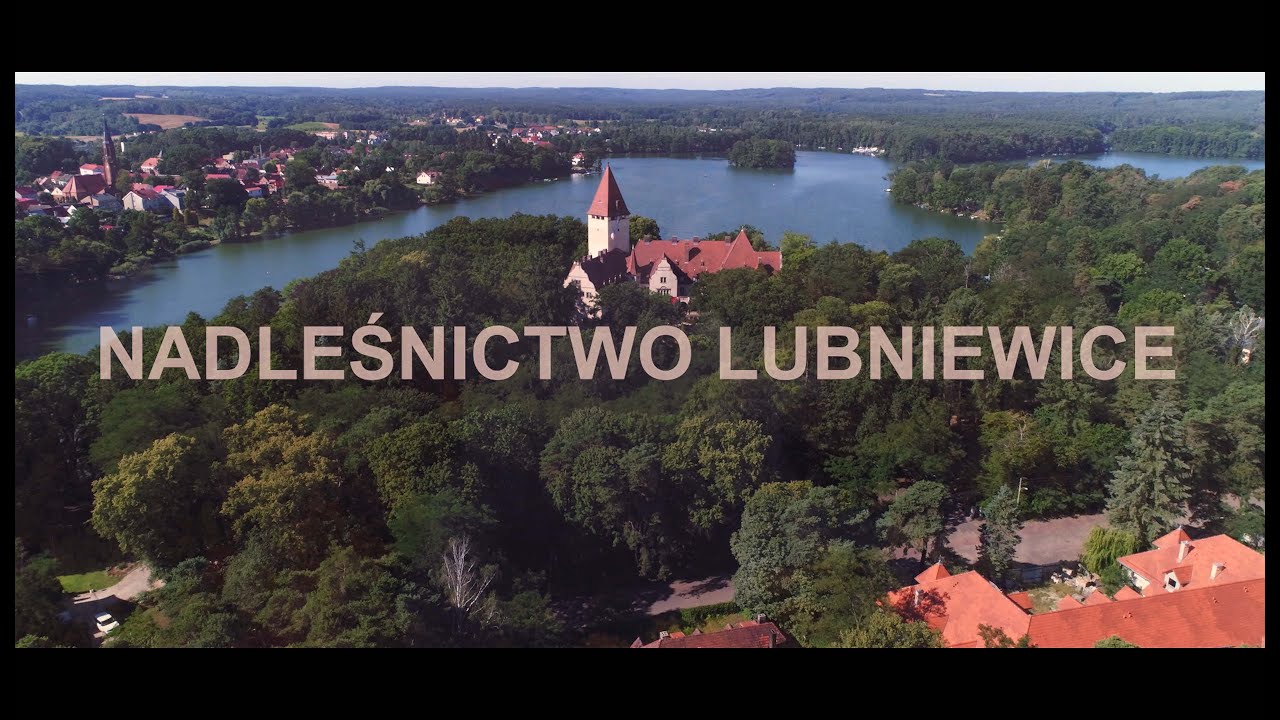 Nadleśnictwo Lubniewice