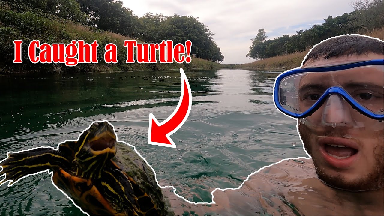 Catching Turtles In Florida Canals!!
